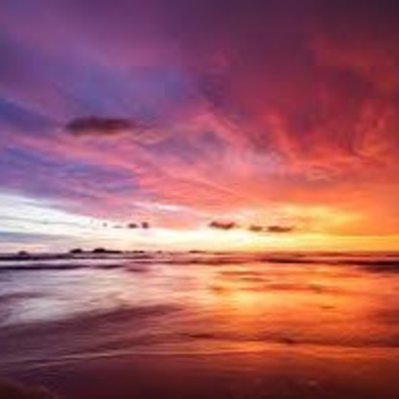 Meet your Posher, Monica - Picture 1 of 1